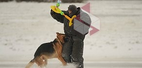 Областной центр спортивно-служебного собаководства на Интернациональной улице