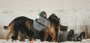 Областной центр спортивно-служебного собаководства на Интернациональной улице