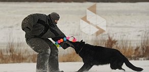 Областной центр спортивно-служебного собаководства на Интернациональной улице