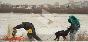 Областной центр спортивно-служебного собаководства на Интернациональной улице