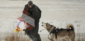 Областной центр спортивно-служебного собаководства на Интернациональной улице