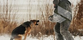 Областной центр спортивно-служебного собаководства на Интернациональной улице