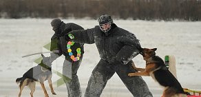 Областной центр спортивно-служебного собаководства на Интернациональной улице