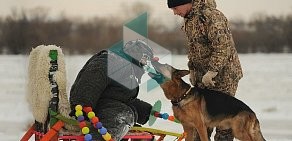 Областной центр спортивно-служебного собаководства на Интернациональной улице