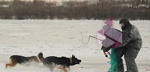 Областной центр спортивно-служебного собаководства на Интернациональной улице