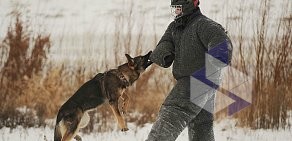 Областной центр спортивно-служебного собаководства на Интернациональной улице