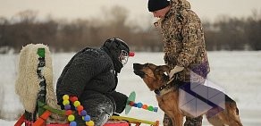 Областной центр спортивно-служебного собаководства на Интернациональной улице