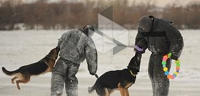 Областной центр спортивно-служебного собаководства на Интернациональной улице