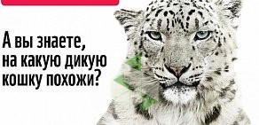 Всемирный фонд дикой природы WWF России