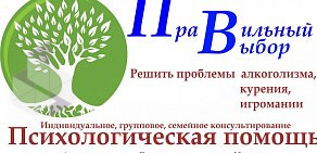 Психологический кабинет Правильный выбор на улице Красина 