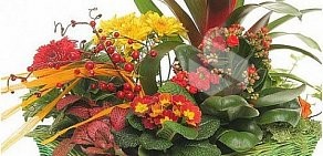 Салон цветов Ледика, подарков и праздничного оформления