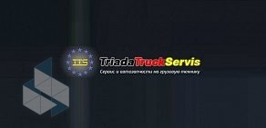 Торгово-сервисная фирма ТриадаТраксСервис