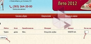 Оптовая компания Топ обувь НСК