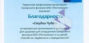 Агентство праздников Студия Чудес