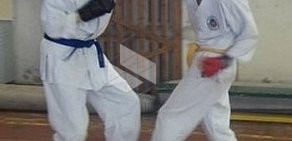 Школа боевых искусств ДоМо-Контакт каратэ на метро Ленинский проспект