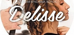 Студия красивых волос DELISSE на Тульской улице