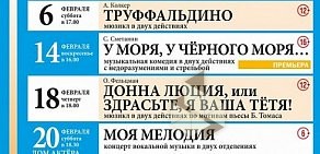 Нижегородский камерный театр оперы и музыкальной комедии им. В.Т. Степанова