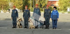 Центр служебного собаководства