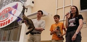 Клуб любителей кошек Funny Cat Club в Центральном административном округе