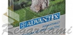 Интернет-магазин товаров для животных Regardami