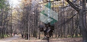 Природно-исторический парк Измайлово и Косинский в Измайлово