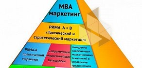 Высшая школа международного бизнеса, СГЭУ