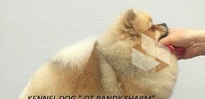 Многопородный питомник собак От Панды Шарм