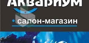 Зоомагазин АМурр на улице Вильского