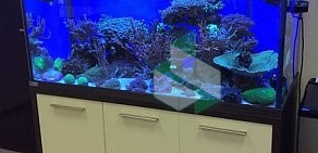 Салон-магазин аквариумов Аква Дизайн