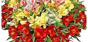 Оптово-розничная компания по продаже цветов в Строгино