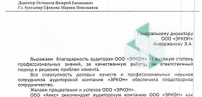 Аудиторская консалтинговая компания ЭРКОН на улице Ленина