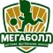 Детская футбольная школа Мегаболл на улице Богданова в Ивантеевке