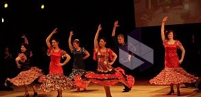 Школа танцев Barrio Flamenco