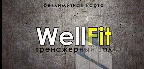 Фитнес-центр Wellfit на Академической