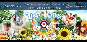 Детский сад Tini Kids