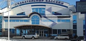 Динал на Гусинобродском шоссе