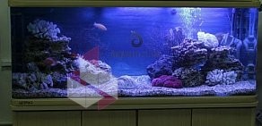 Компания по продаже и обслуживанию аквариумов Аквамотив