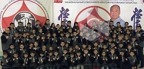 Школа обучения кекусинкай Национальный Союз Каратэ Республики Татарстан на улице Джаудата Файзи, 8а