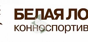 Компания по организации праздников Корпоративные приключения