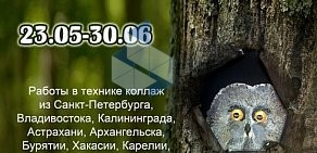 Институт декоративно-прикладного искусства и гуманитарного образования