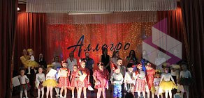 Школа музыки и танца Аллегро на Октябрьском проспекте