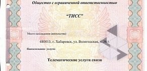 Телекоммуникационная компания ТИСС