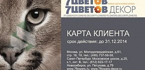 7ЦВЕТОВ на Молодогвардейской улице