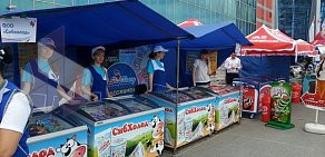 Киоск по продаже мороженого Сибхолод на Российской улице
