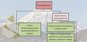 Управление Федеральной службы по надзору в сфере связи, информационных технологий и массовых коммуникаций по Камчатскому краю