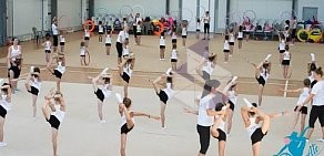 Сеть школ художественной гимнастики Pirouette в Реутове