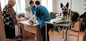 Клуб любителей животных Амиго в Подольске