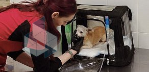 Ветеринарный центр Оптима вет на метро Улица Горчакова 
