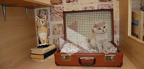 Гостиница для кошек МяуХаус