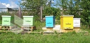 Магазин товаров для пчеловодства Калинка